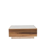 Vega Coffee Table (Walnut Glass)