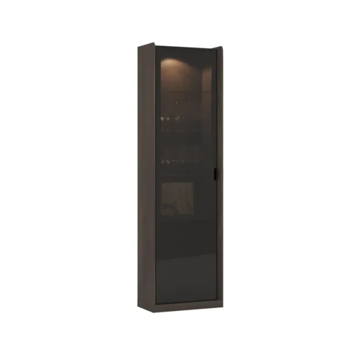 luis-glass-module-1