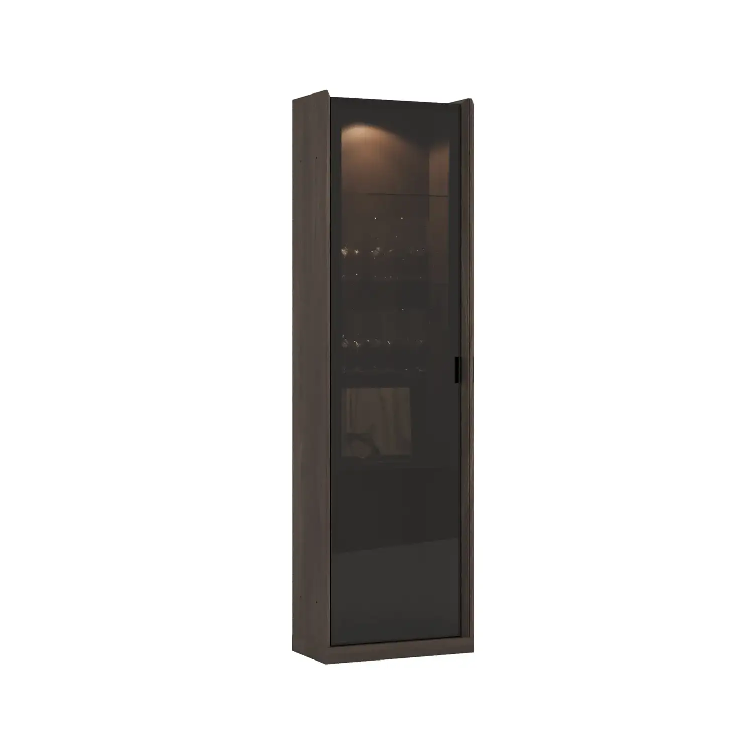 luis-glass-module-1