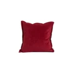 Saloni Cha 15 Pillow