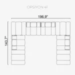 Orion Option 41