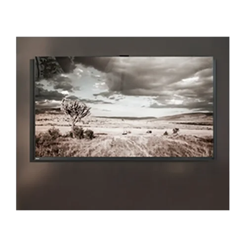 Madlen TV Panel